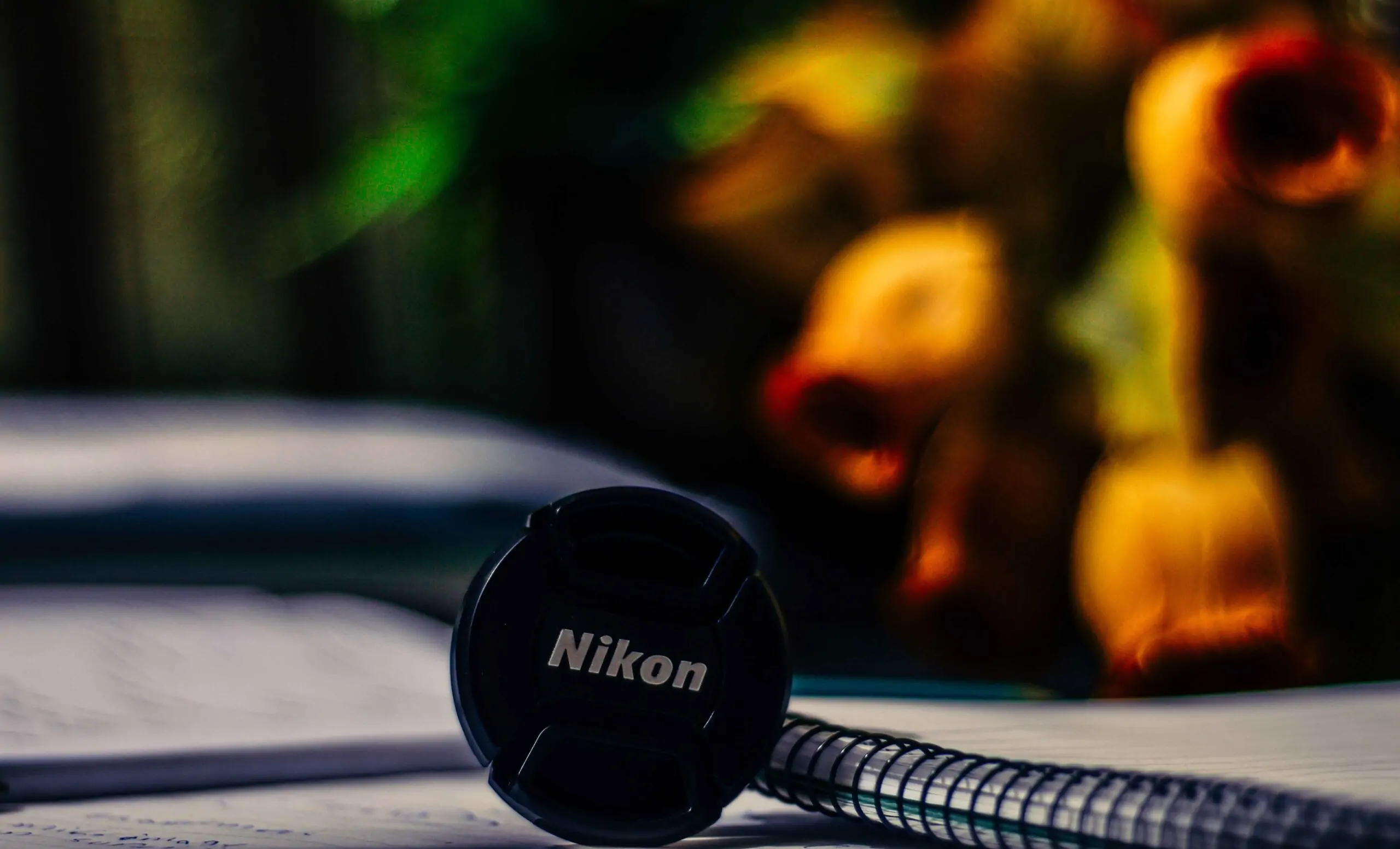 Get Back Into Photography with the Best Lenses for Nikon D7500