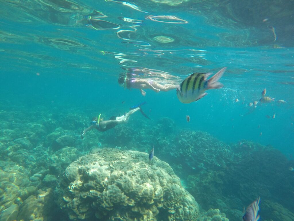 gopro underwater sample image