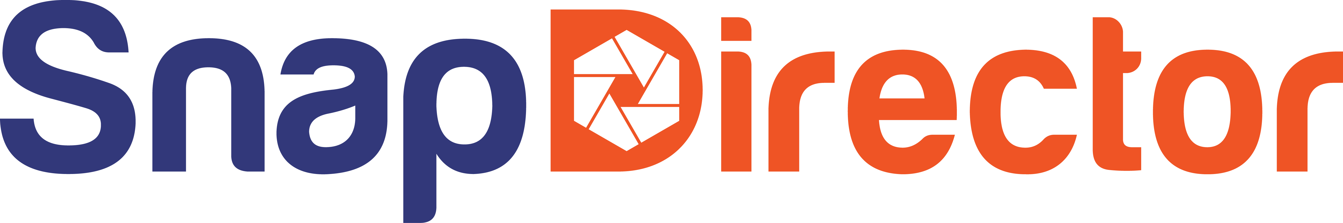 snapdirector logo