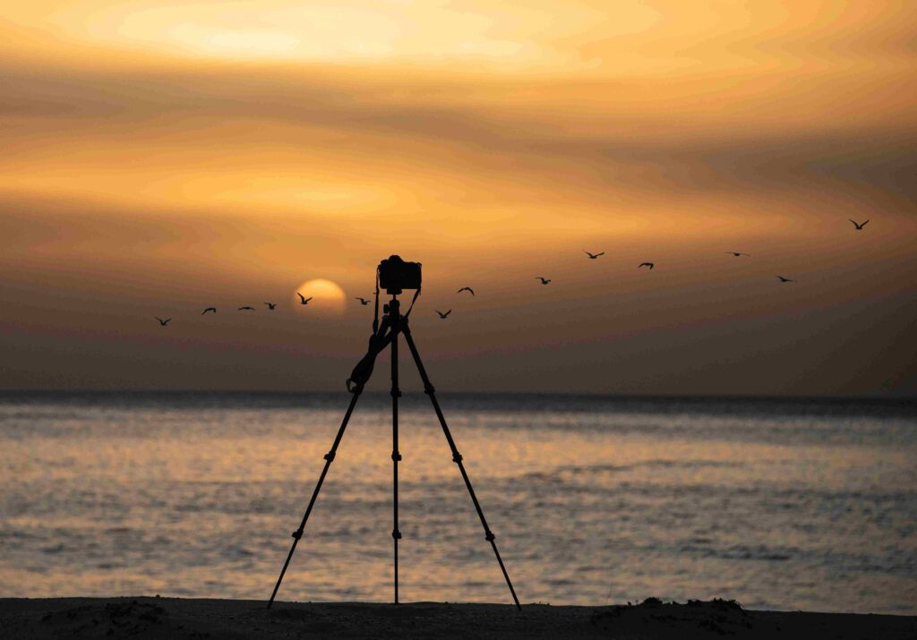 Tripod Vs Gimbal – How To Make The Right Decision